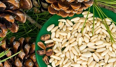 Nueces de cedro para mejorar la potencia
